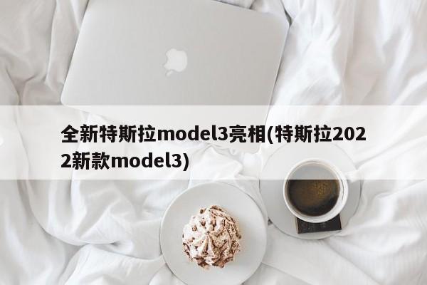 全新特斯拉model3亮相(特斯拉2022新款model3)