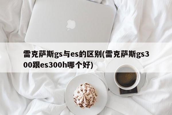 雷克萨斯gs与es的区别(雷克萨斯gs300跟es300h哪个好)