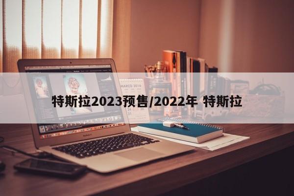 特斯拉2023预售/2022年 特斯拉