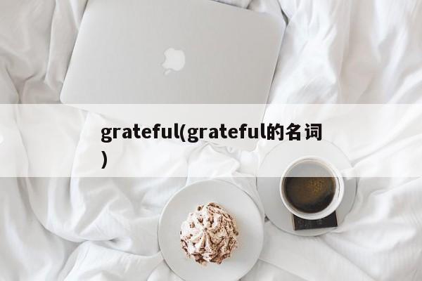 grateful(grateful的名词)